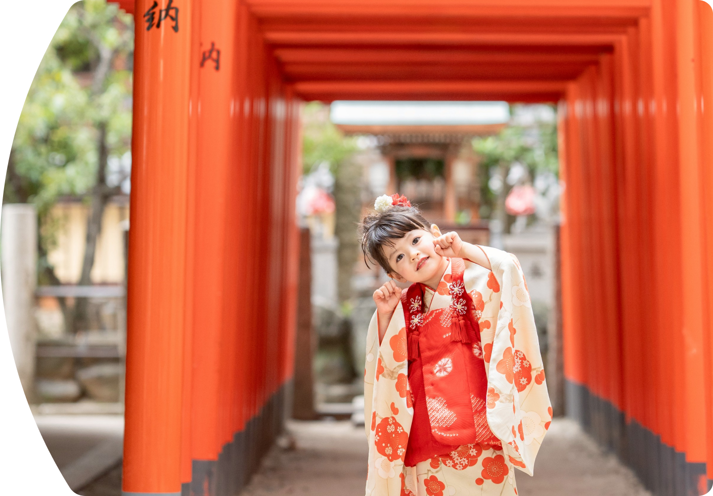 七五三の子どもの写真
